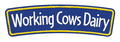 Working Cows Dairy