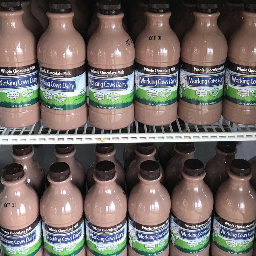 Grass-fed Organic Whole Chocolate Milk