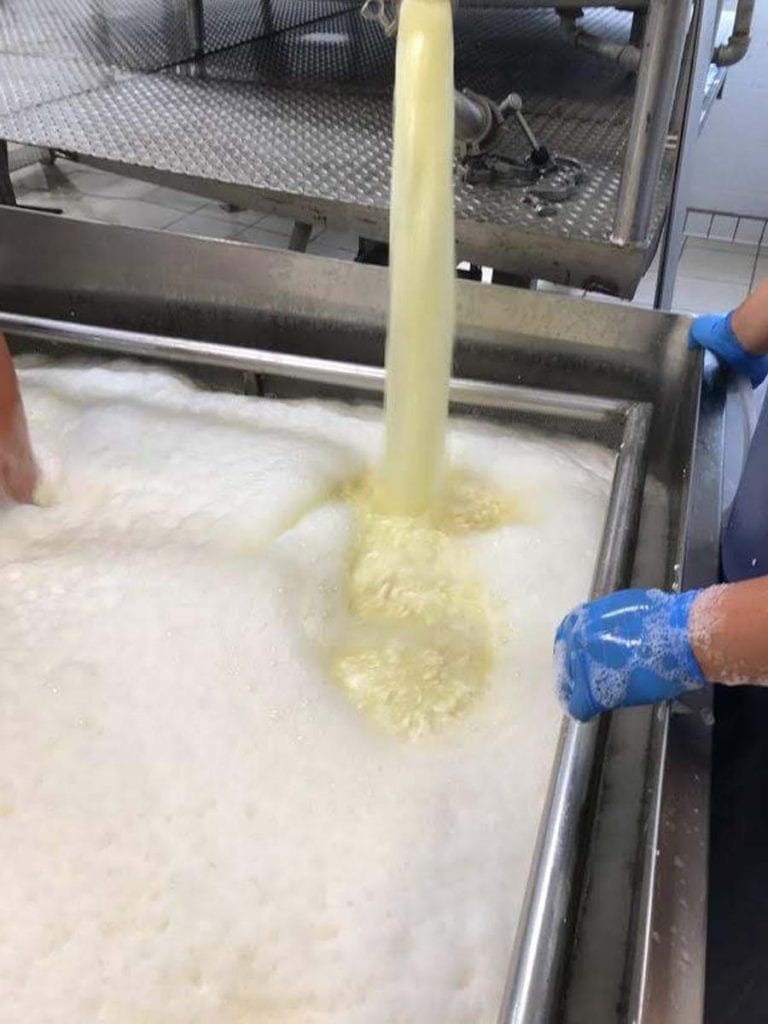 Draining the curds into a vat where we can fill the molds